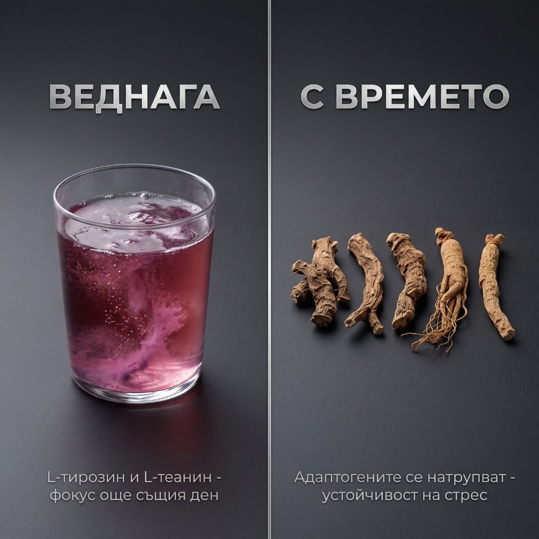 STRESS & FOCUS за по-малко стрес и повече фокус - RECOVERYONE