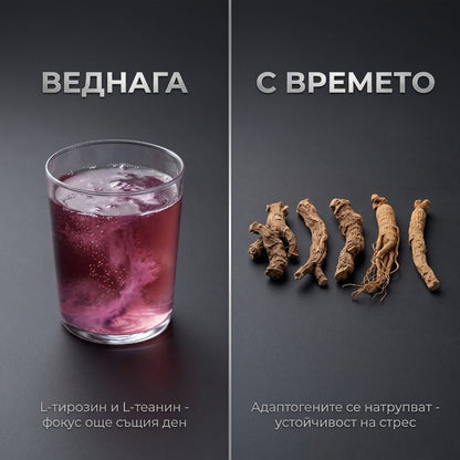 STRESS & FOCUS за по-малко стрес и повече фокус - RECOVERYONE